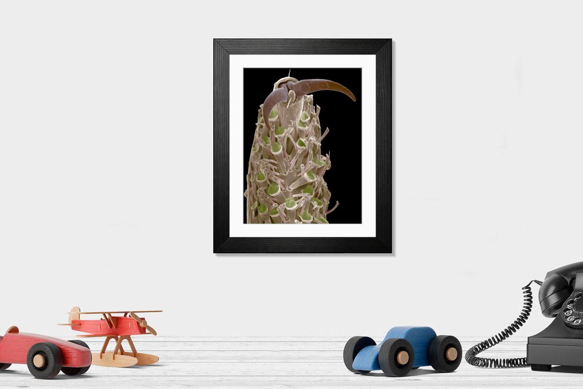 Shown hanging in a room: Modern 14"x12" (36x31cm)