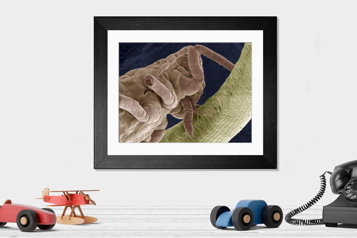Shown hanging in a room: Modern 14"x12" (36x31cm)