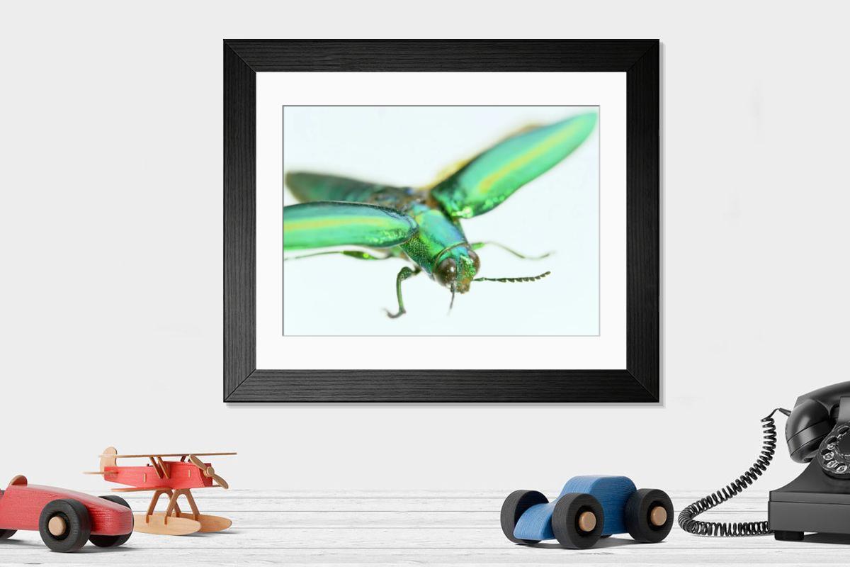 Shown hanging in a room: Modern 14"x12" (36x31cm)