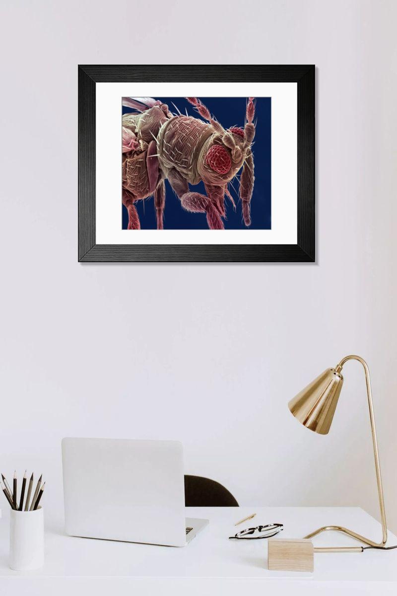 Shown hanging in a room: Modern 14"x12" (36x31cm)