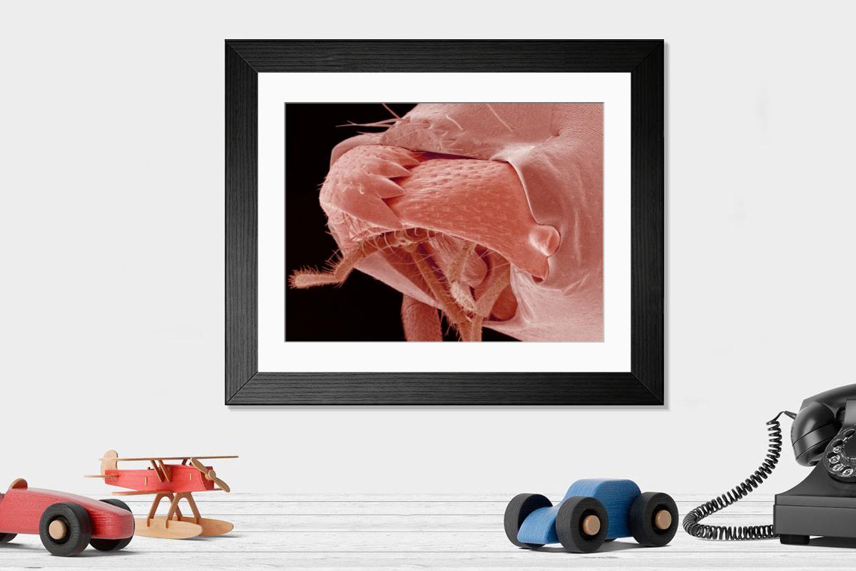 Shown hanging in a room: Modern 14"x12" (36x31cm)