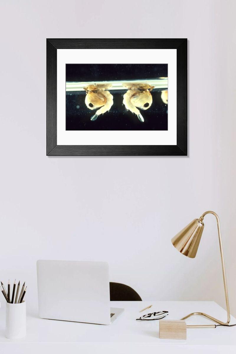 Shown hanging in a room: Modern 14"x12" (36x31cm)