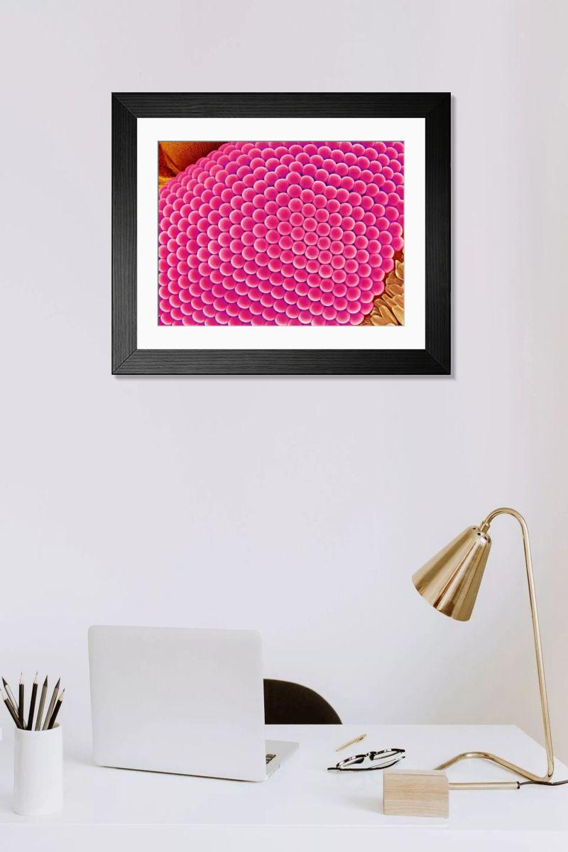 Shown hanging in a room: Modern 14"x12" (36x31cm)