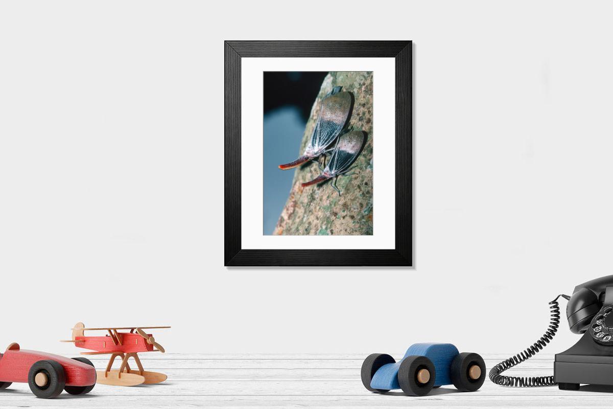 Shown hanging in a room: Modern 14"x12" (36x31cm)
