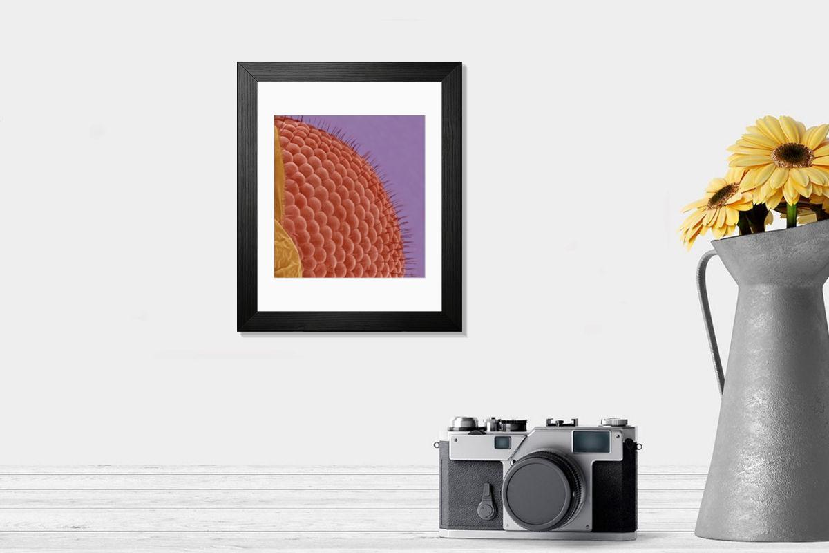 Shown hanging in a room: Modern 14"x12" (36x31cm)
