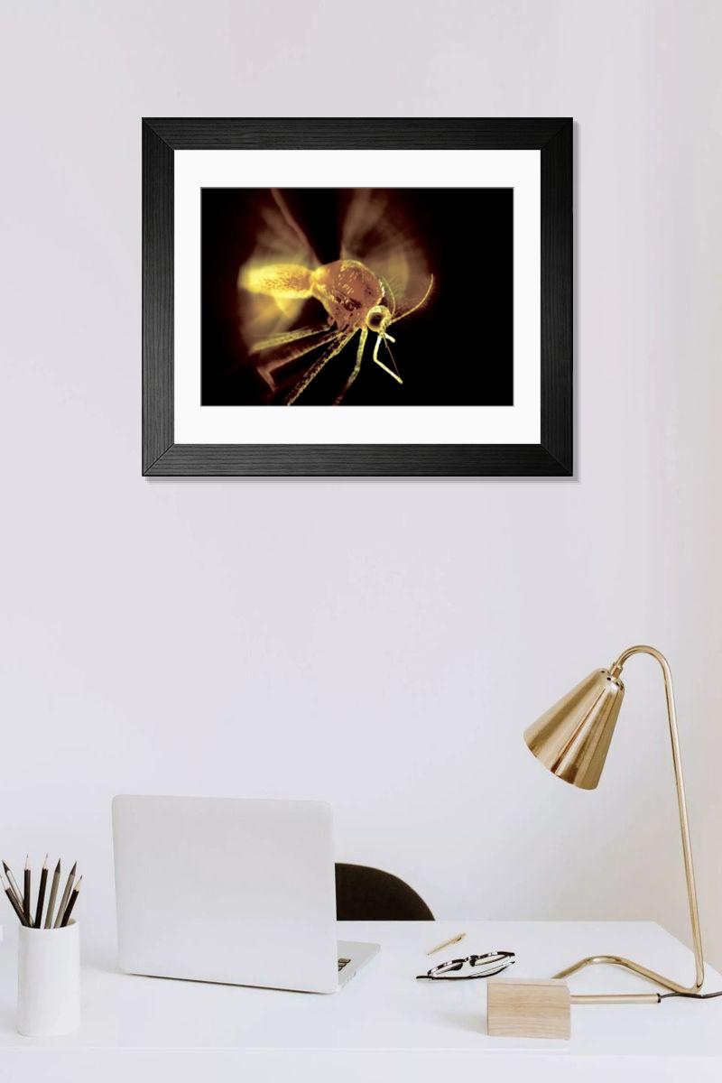 Shown hanging in a room: Modern 14"x12" (36x31cm)