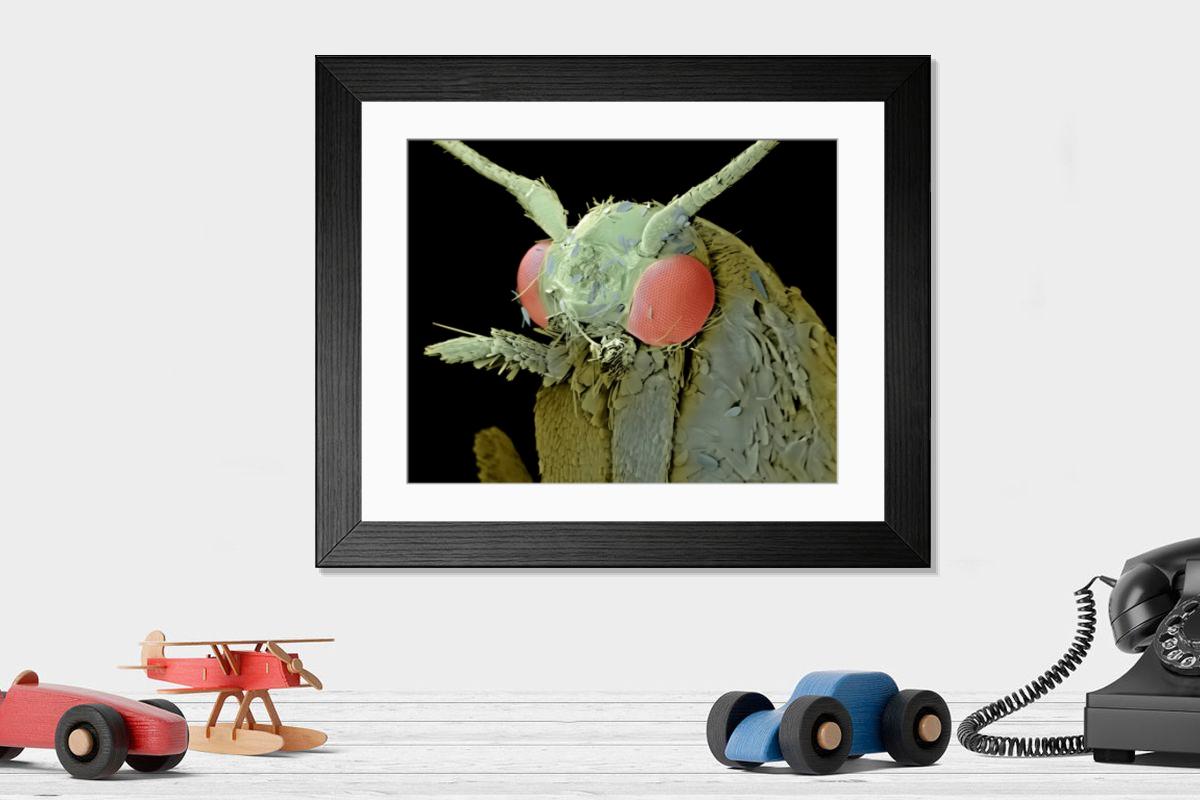 Shown hanging in a room: Modern 14"x12" (36x31cm)