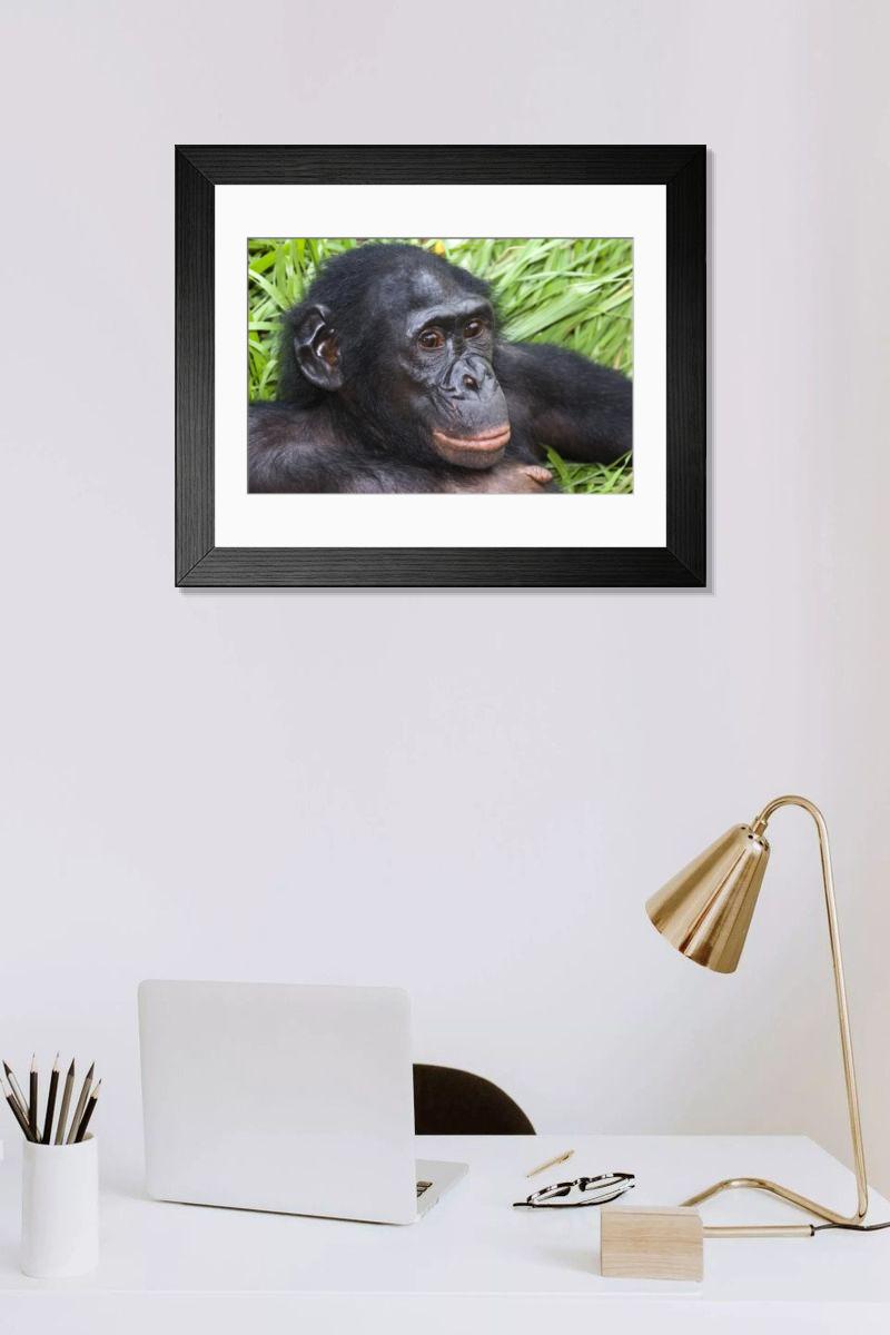 Shown hanging in a room: Modern 14"x12" (36x31cm)