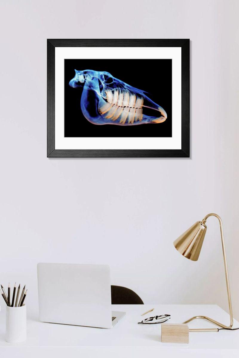 Shown hanging in a room: Modern 14"x12" (36x31cm)