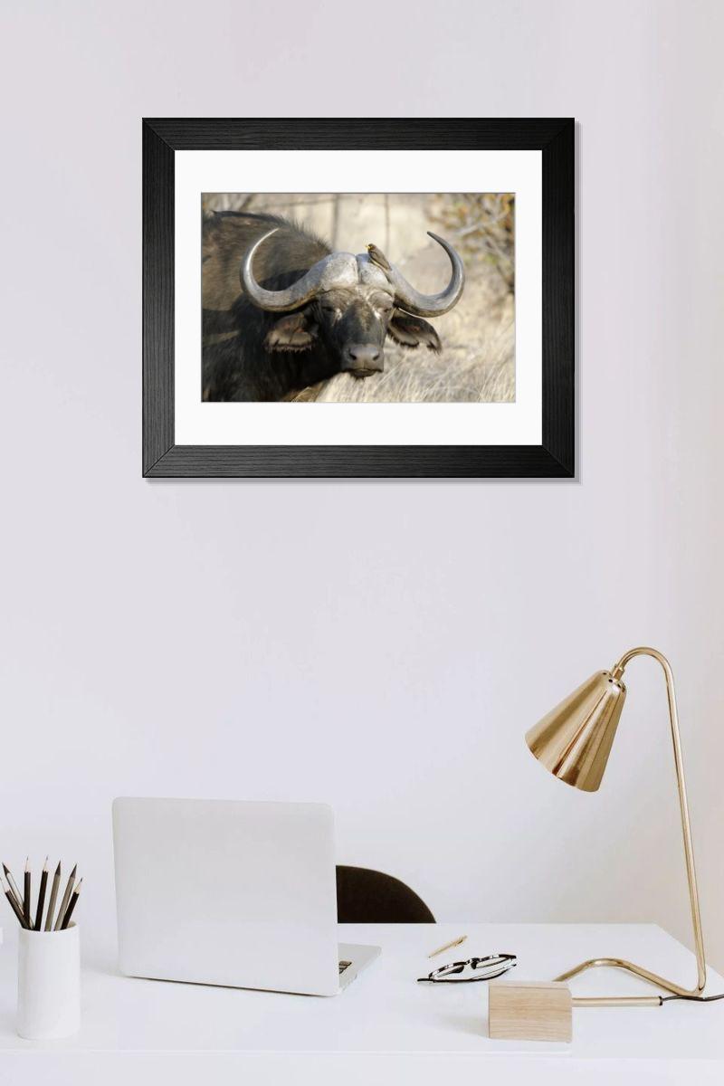 Shown hanging in a room: Modern 14"x12" (36x31cm)