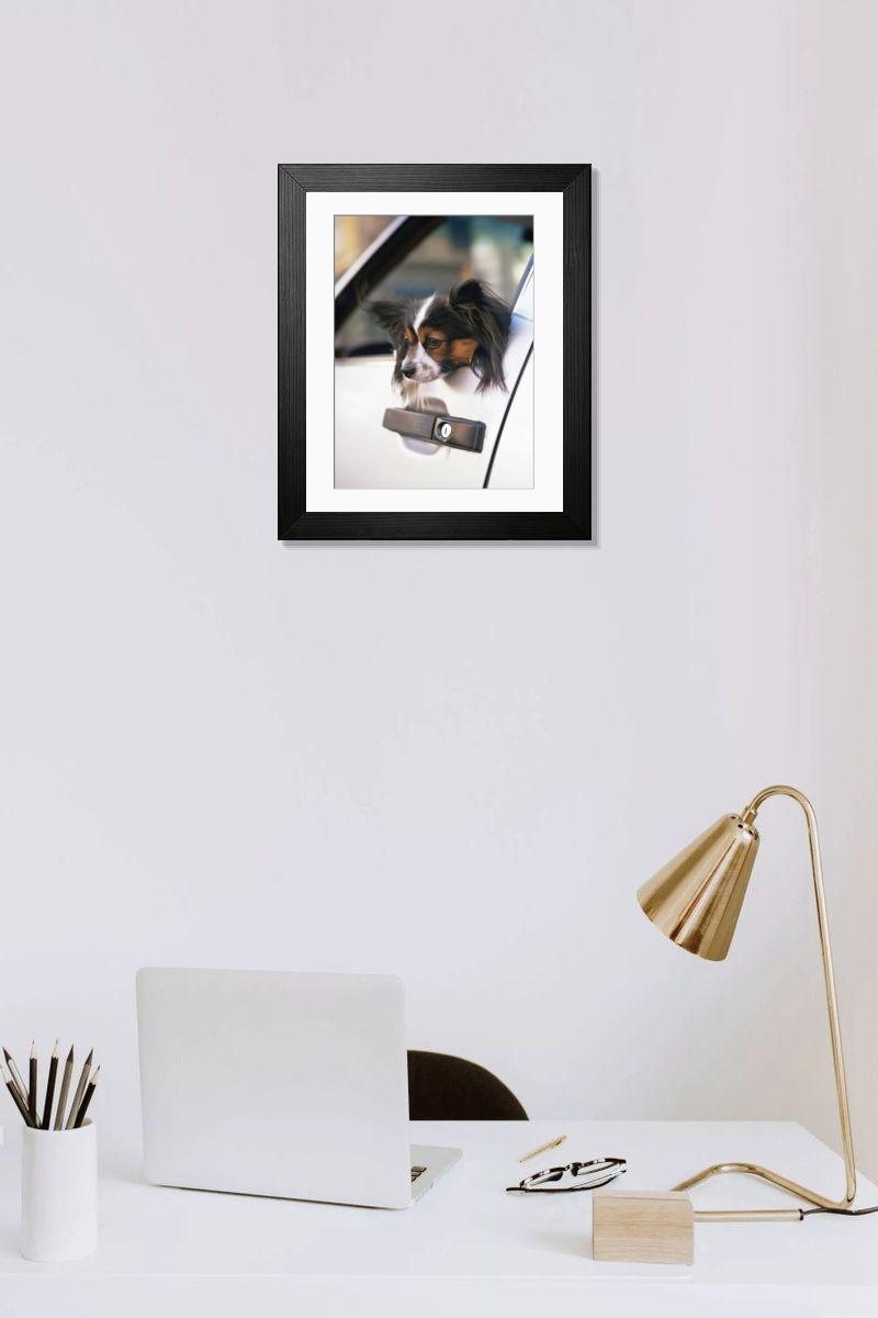 product preview 0