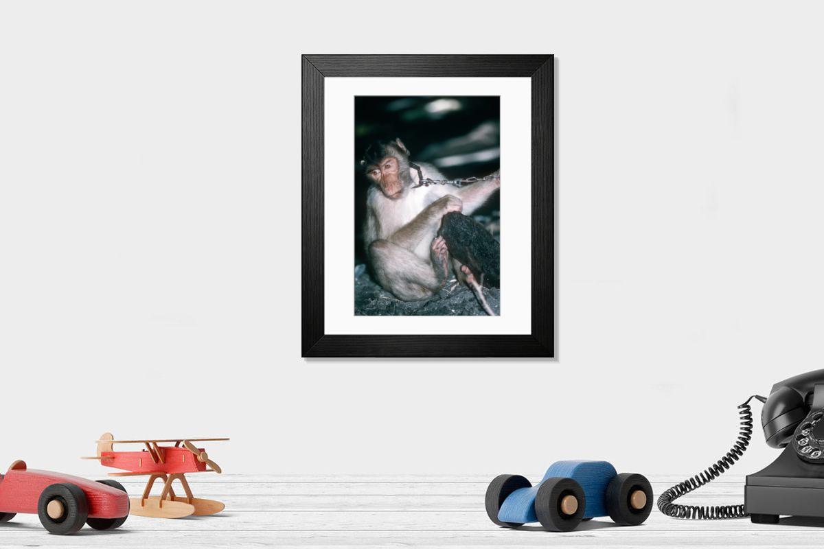 Shown hanging in a room: Modern 14"x12" (36x31cm)