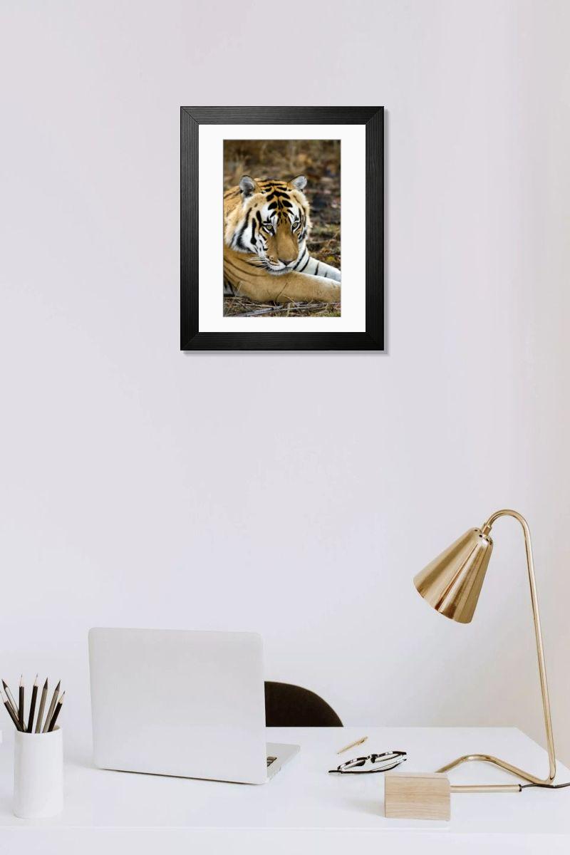 Shown hanging in a room: Modern 14"x12" (36x31cm)