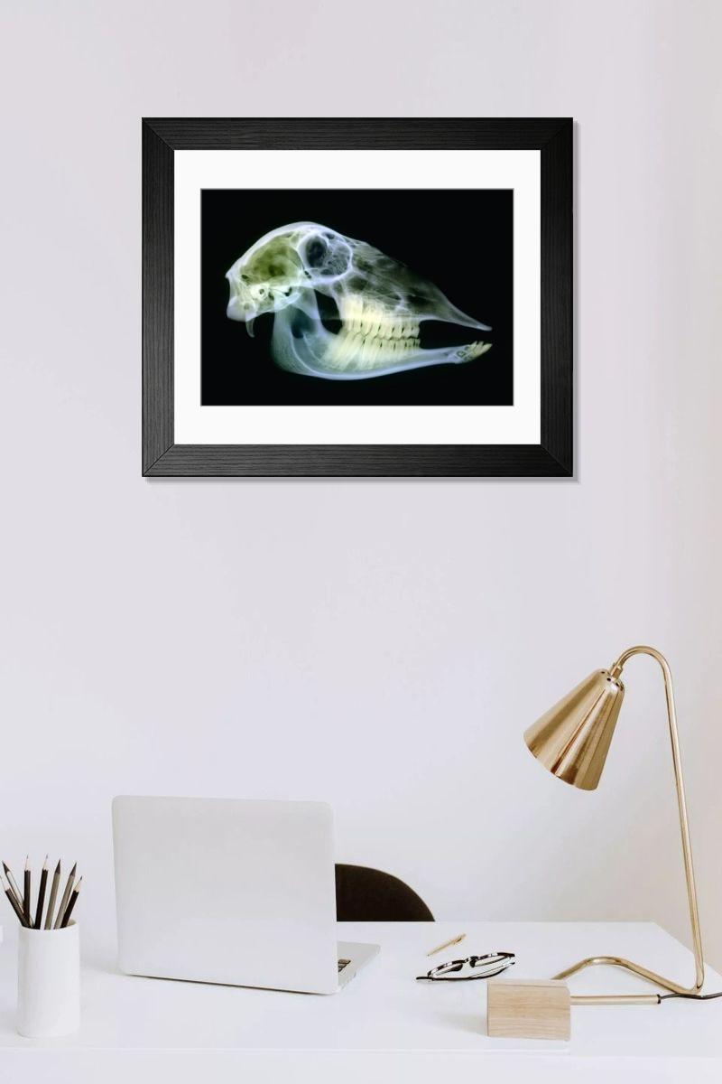 Shown hanging in a room: Modern 14"x12" (36x31cm)