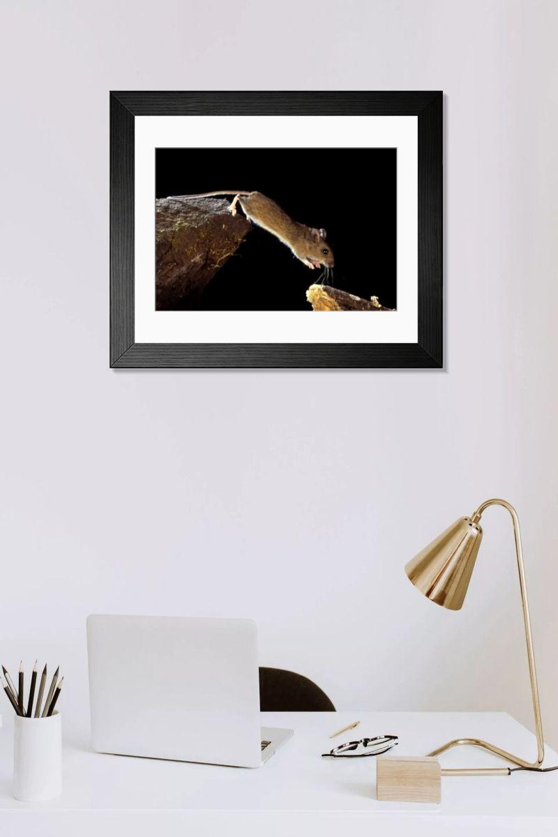 Shown hanging in a room: Modern 14"x12" (36x31cm)