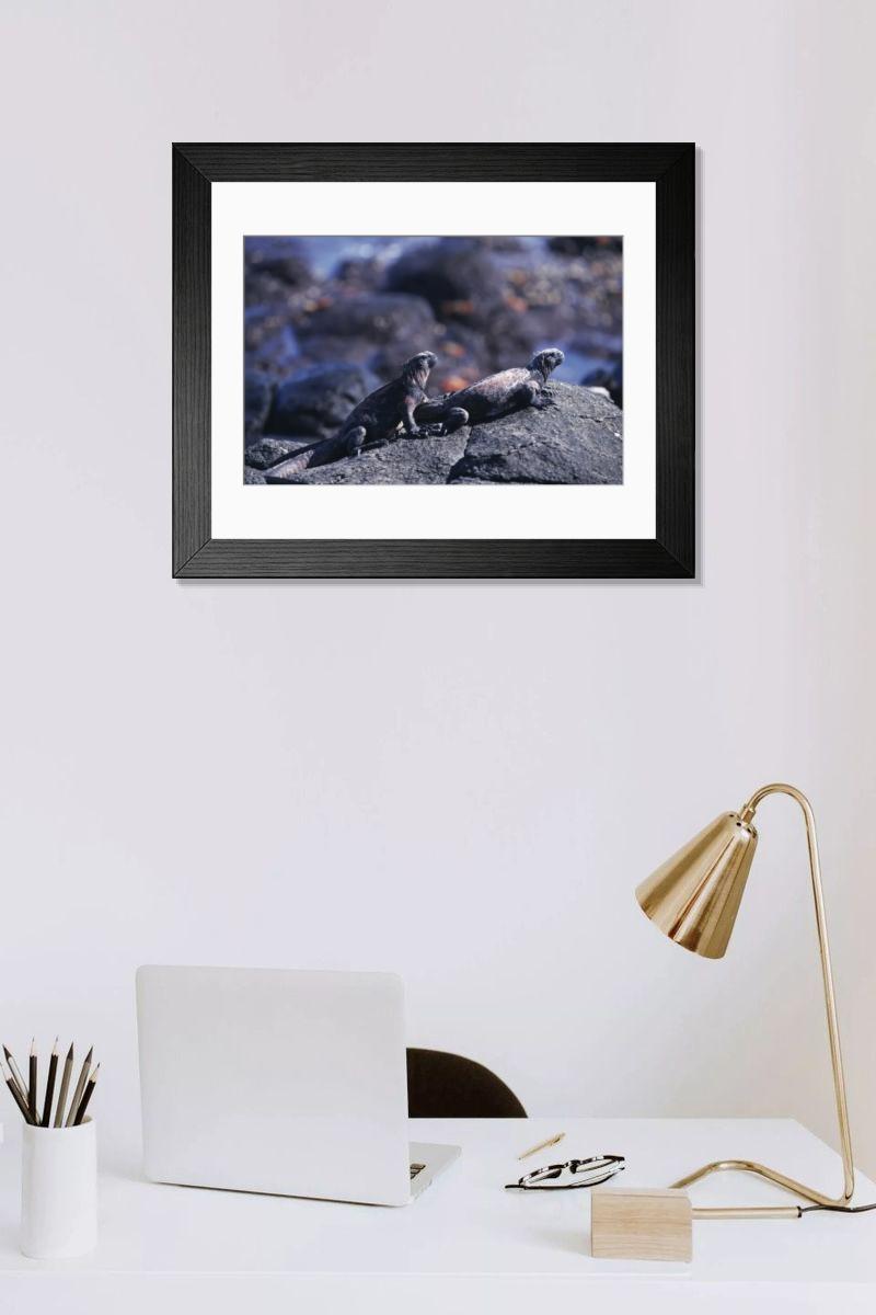 Shown hanging in a room: Modern 14"x12" (36x31cm)