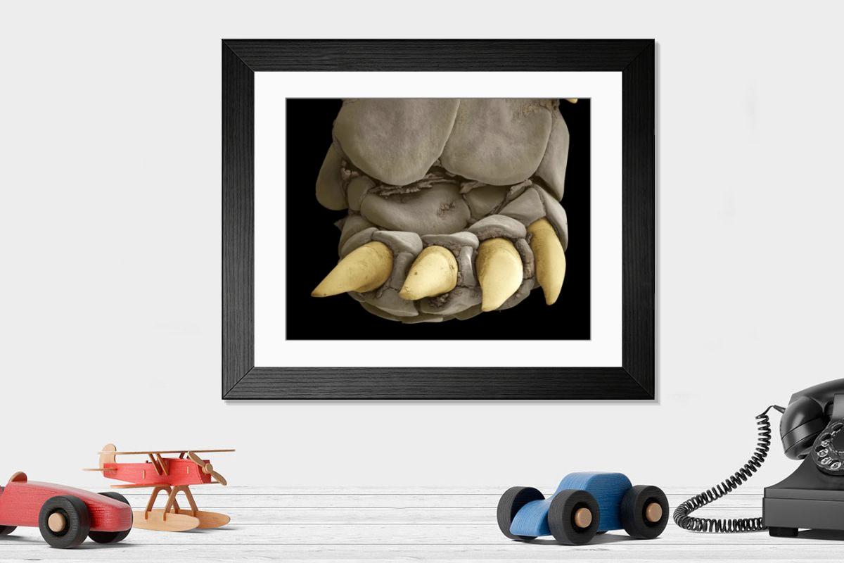Shown hanging in a room: Modern 14"x12" (36x31cm)