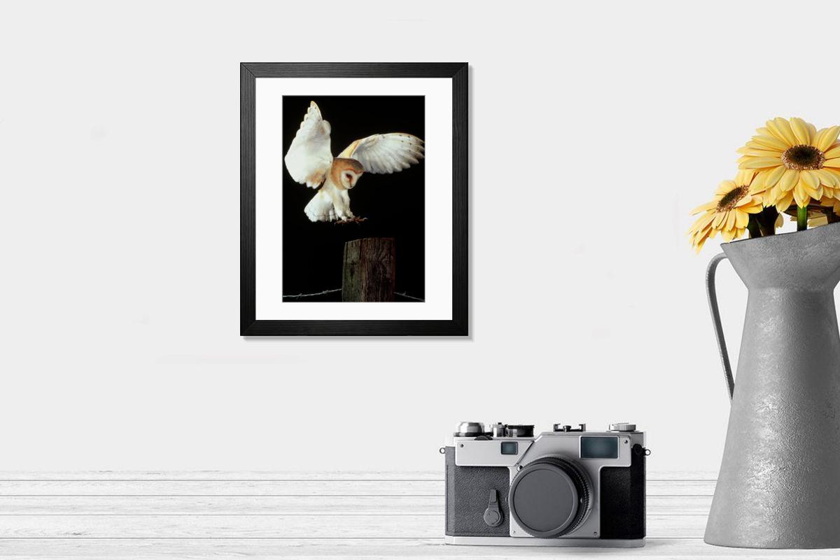 Shown hanging in a room: Modern 14"x12" (36x31cm)