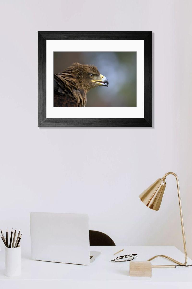 Shown hanging in a room: Modern 14"x12" (36x31cm)