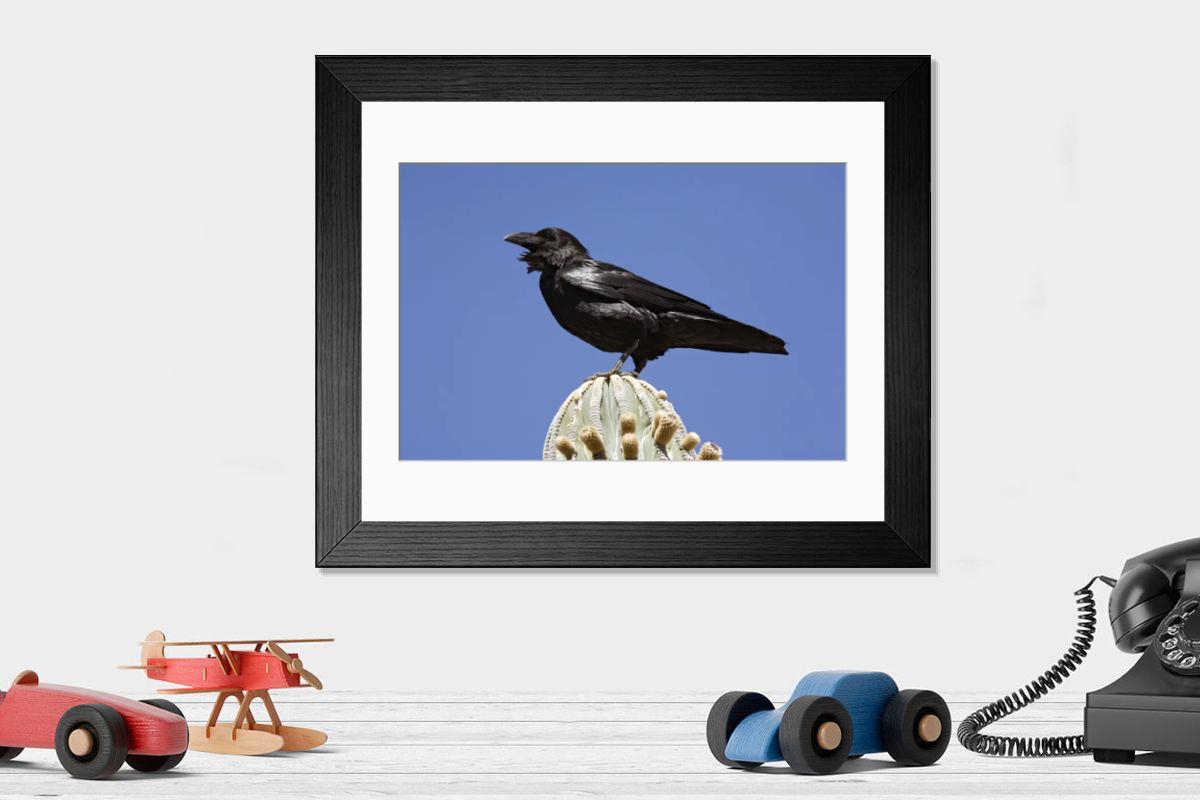 Shown hanging in a room: Modern 14"x12" (36x31cm)