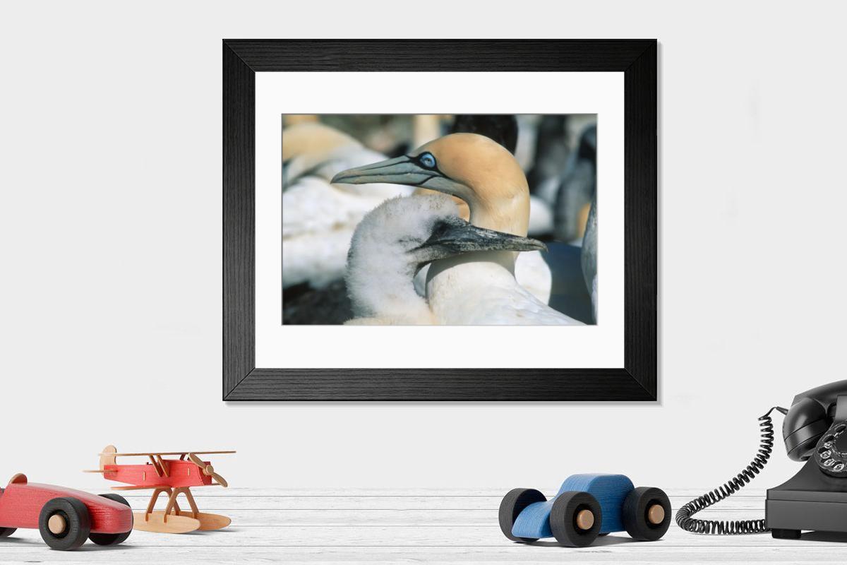 Shown hanging in a room: Modern 14"x12" (36x31cm)