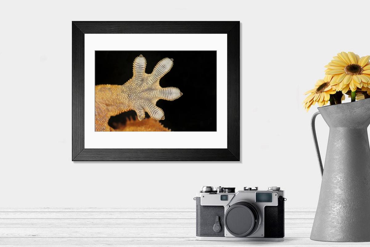 Shown hanging in a room: Modern 14"x12" (36x31cm)