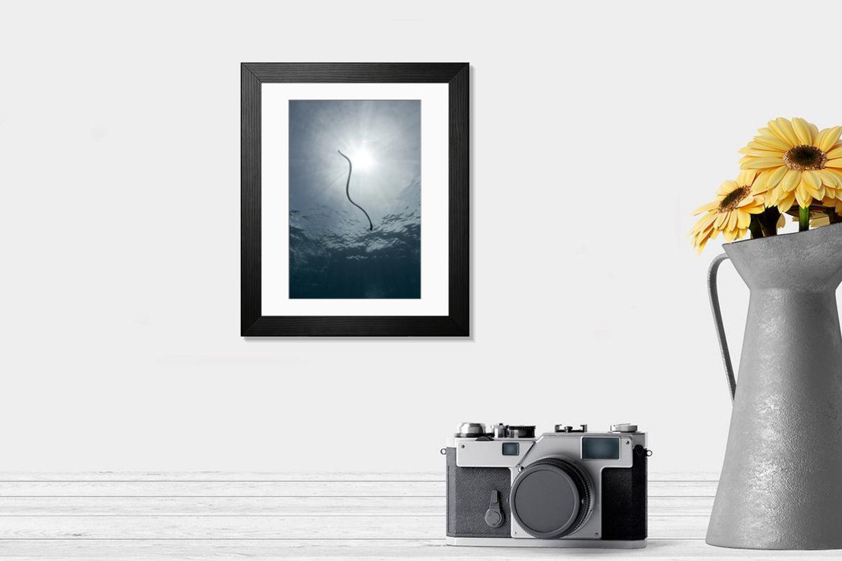 Shown hanging in a room: Modern 14"x12" (36x31cm)