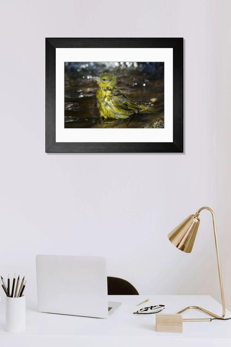 Shown hanging in a room: Modern 14"x12" (36x31cm)