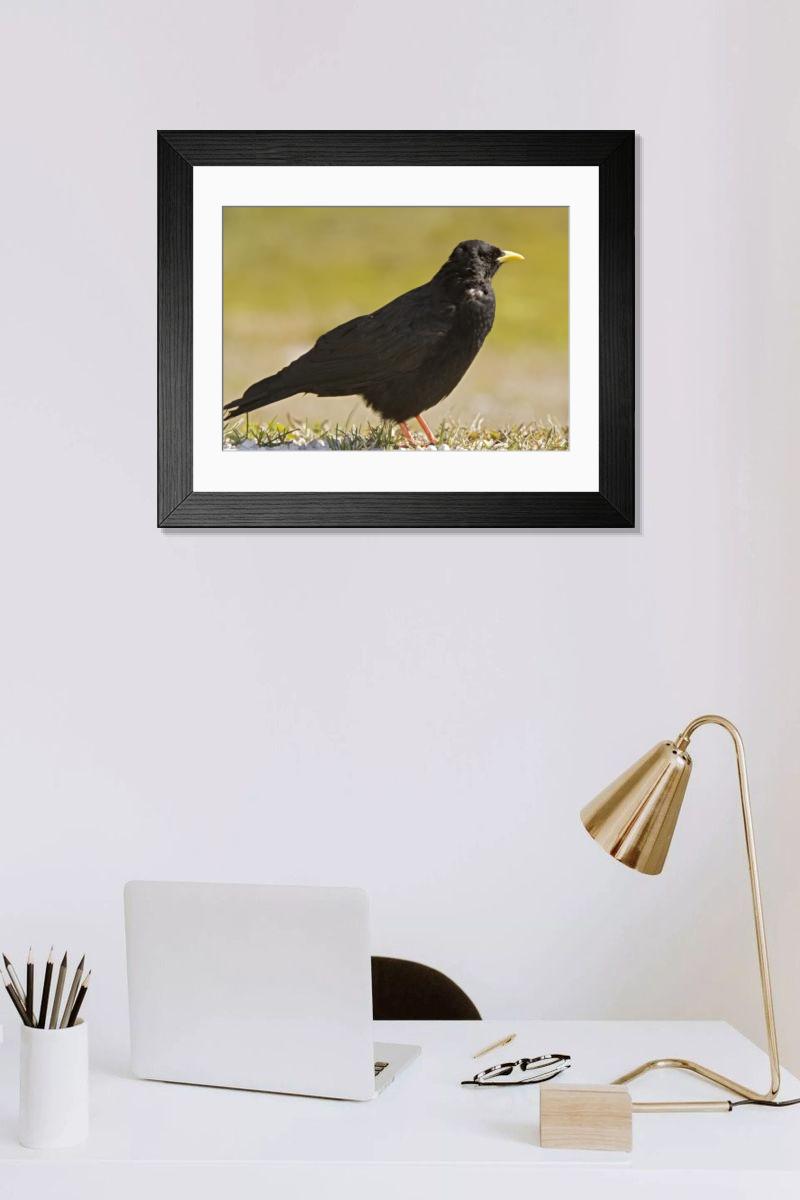 Shown hanging in a room: Modern 14"x12" (36x31cm)