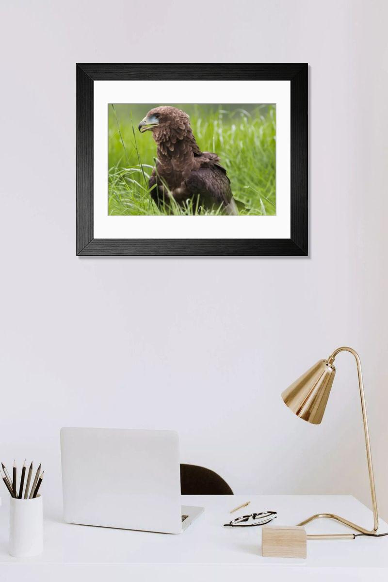 Shown hanging in a room: Modern 14"x12" (36x31cm)