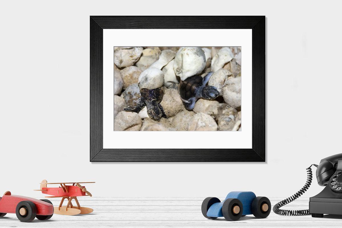 Shown hanging in a room: Modern 14"x12" (36x31cm)