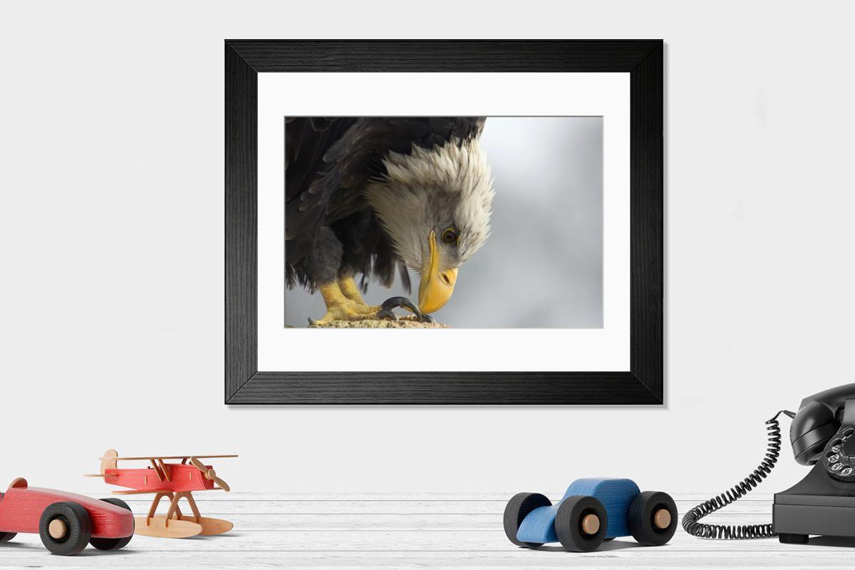 Shown hanging in a room: Modern 14"x12" (36x31cm)