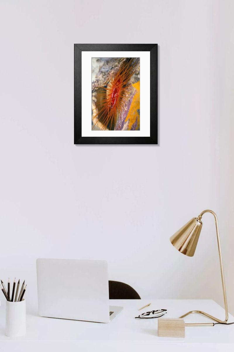 Shown hanging in a room: Modern 14"x12" (36x31cm)