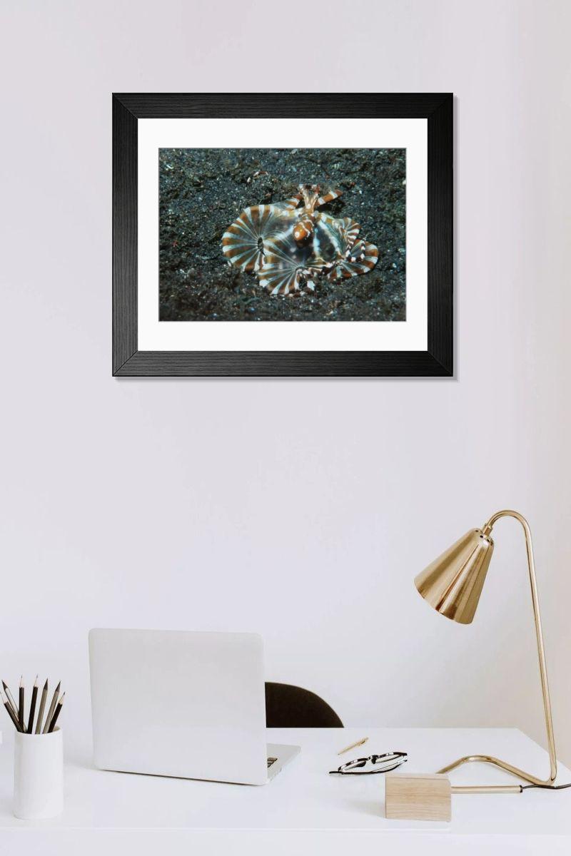 Shown hanging in a room: Modern 14"x12" (36x31cm)