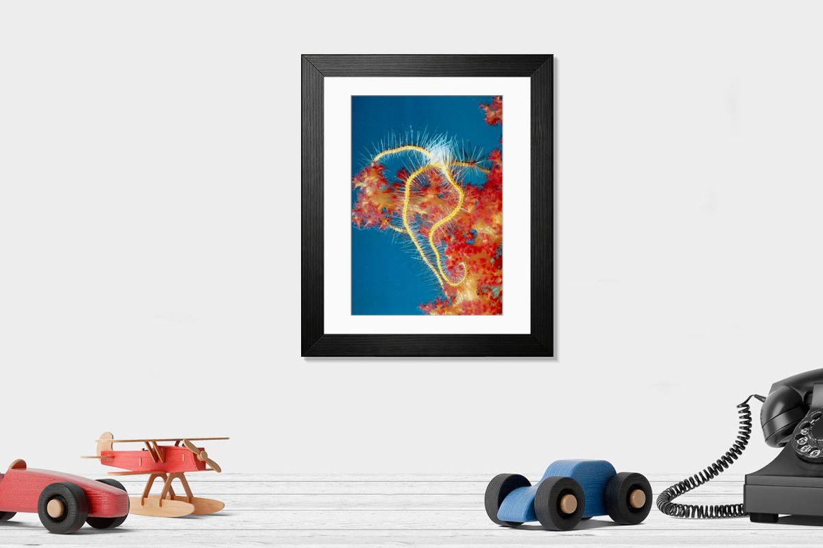 Shown hanging in a room: Modern 14"x12" (36x31cm)