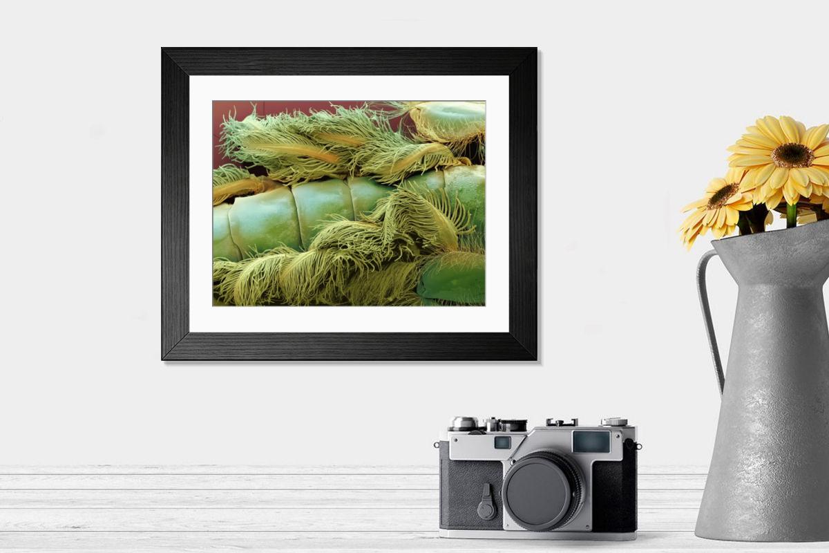Shown hanging in a room: Modern 14"x12" (36x31cm)