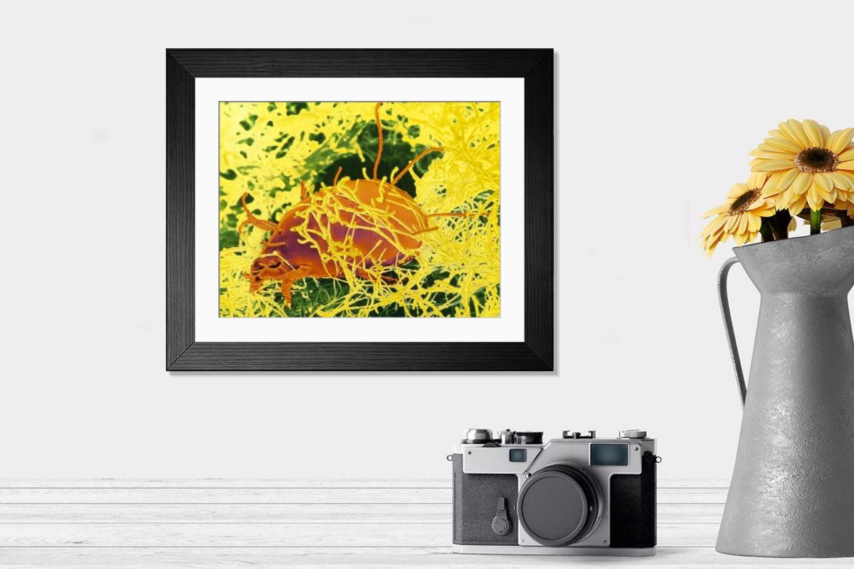 Shown hanging in a room: Modern 14"x12" (36x31cm)
