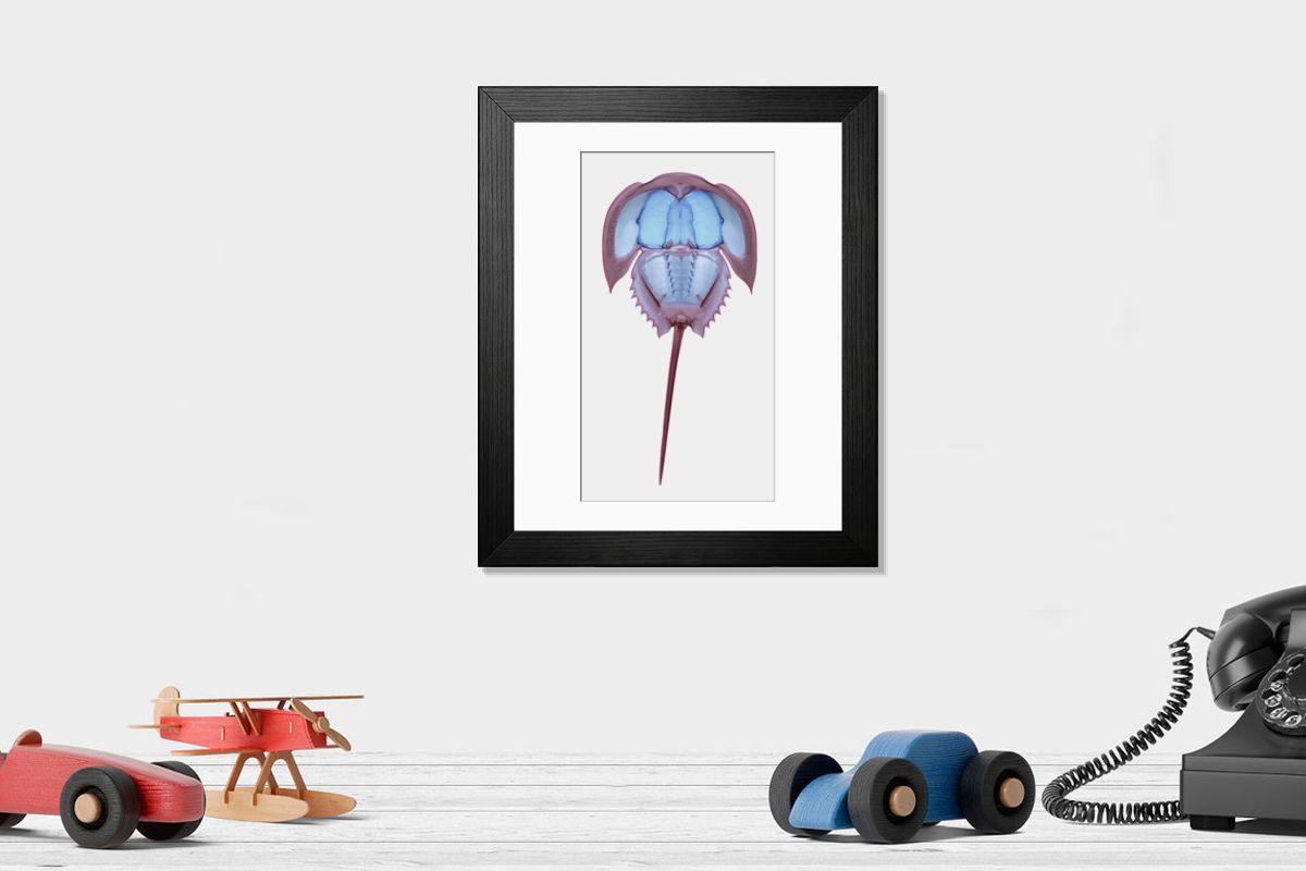 Shown hanging in a room: Modern 14"x12" (36x31cm)