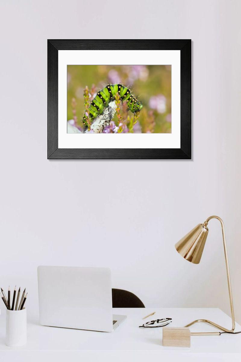 Shown hanging in a room: Modern 14"x12" (36x31cm)