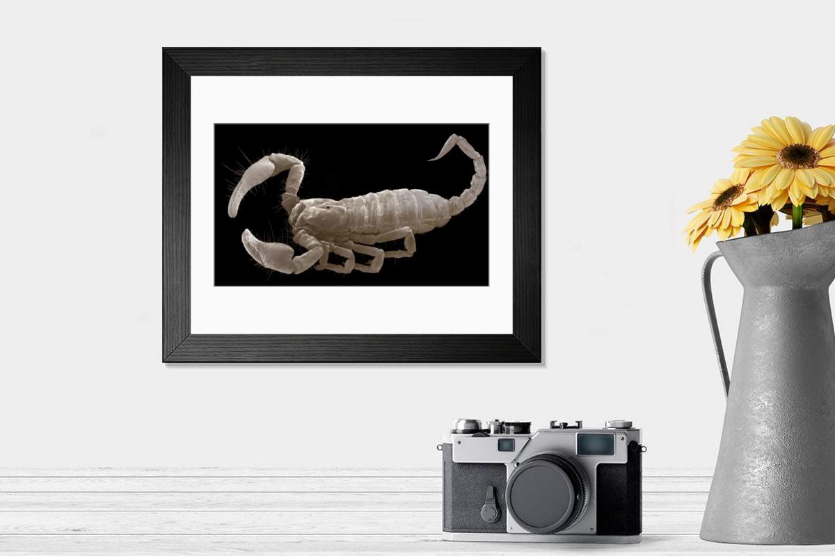 Shown hanging in a room: Modern 14"x12" (36x31cm)