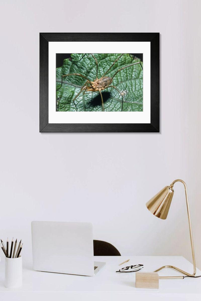 Shown hanging in a room: Modern 14"x12" (36x31cm)