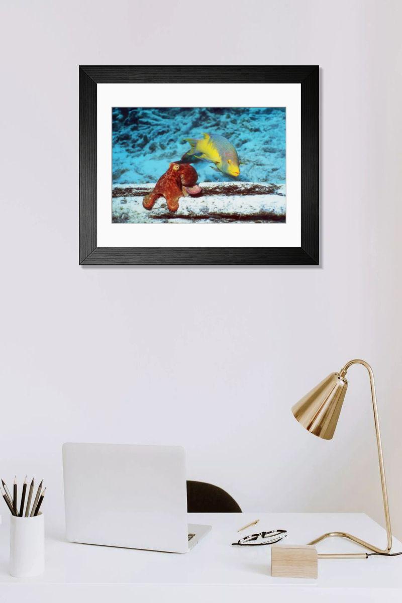 Shown hanging in a room: Modern 14"x12" (36x31cm)