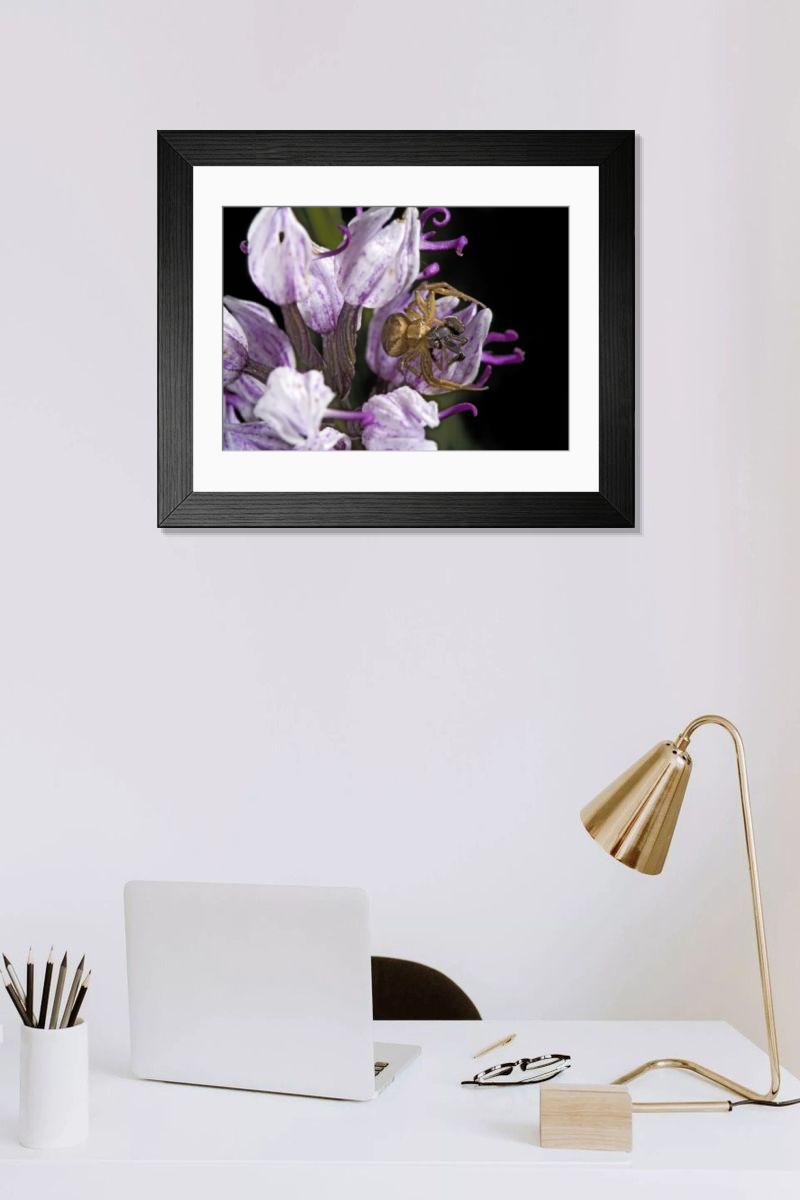 Shown hanging in a room: Modern 14"x12" (36x31cm)