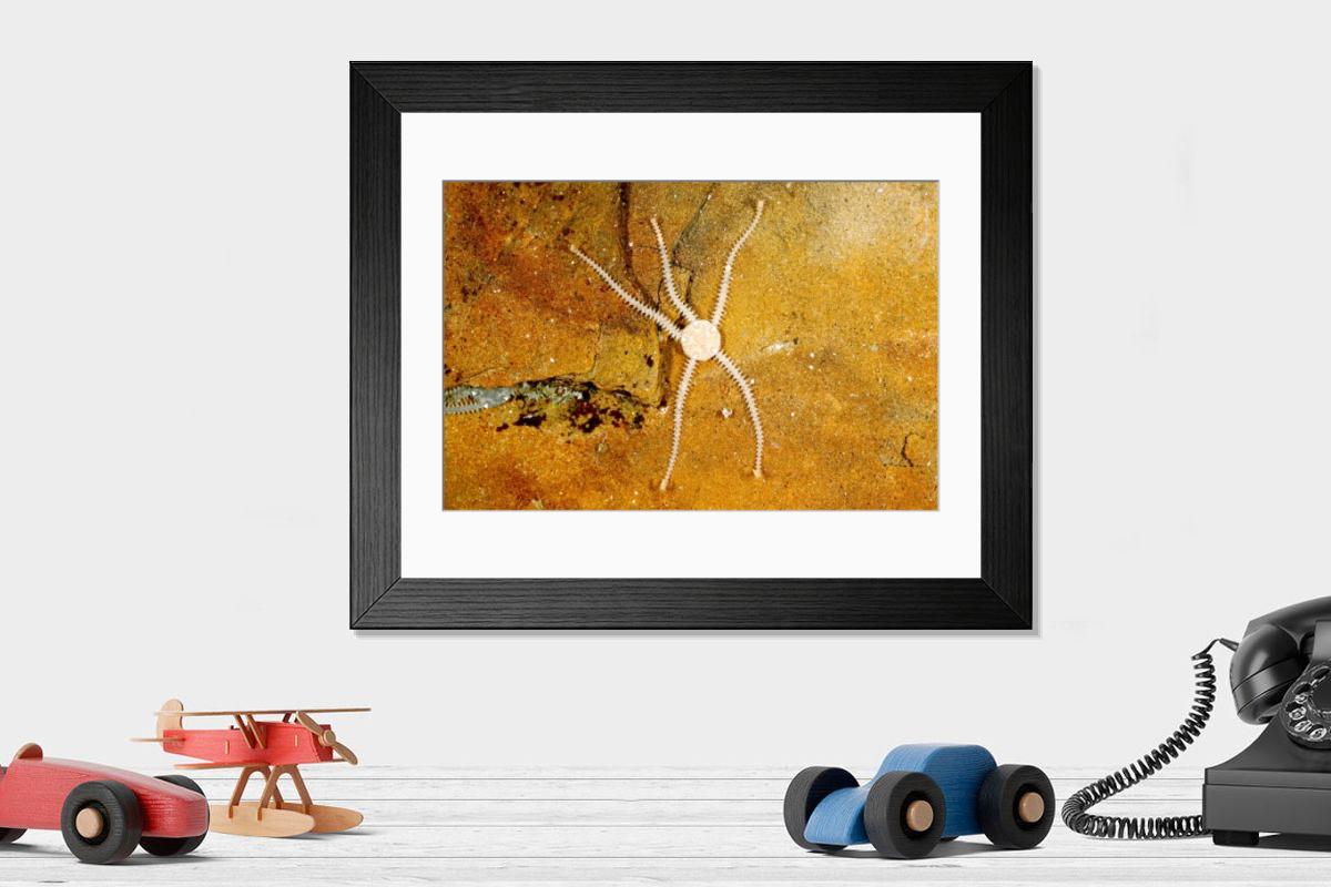 Shown hanging in a room: Modern 14"x12" (36x31cm)