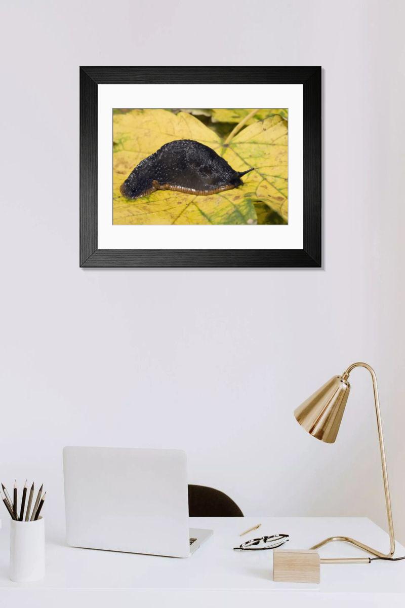 Shown hanging in a room: Modern 14"x12" (36x31cm)