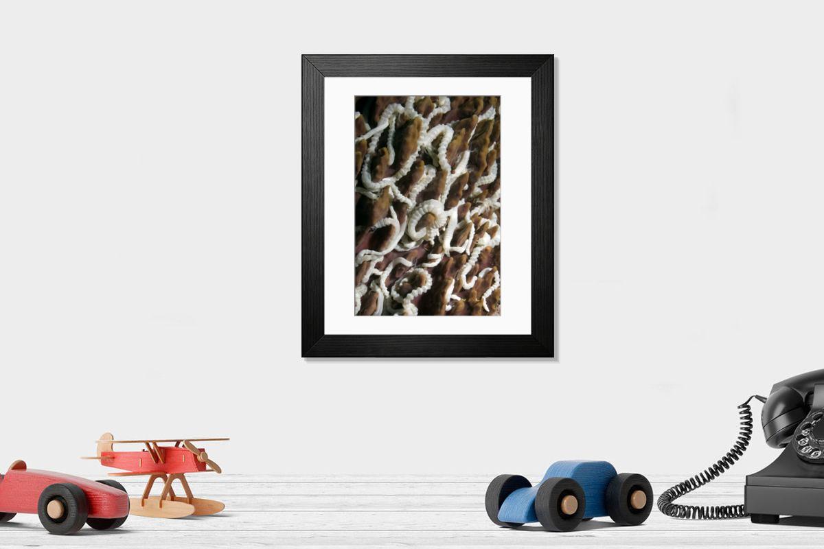 Shown hanging in a room: Modern 14"x12" (36x31cm)