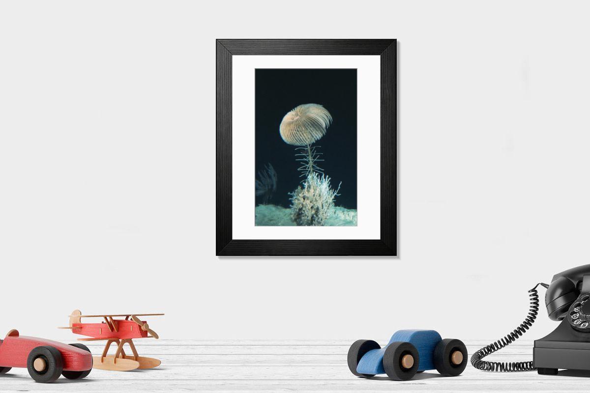 Shown hanging in a room: Modern 14"x12" (36x31cm)