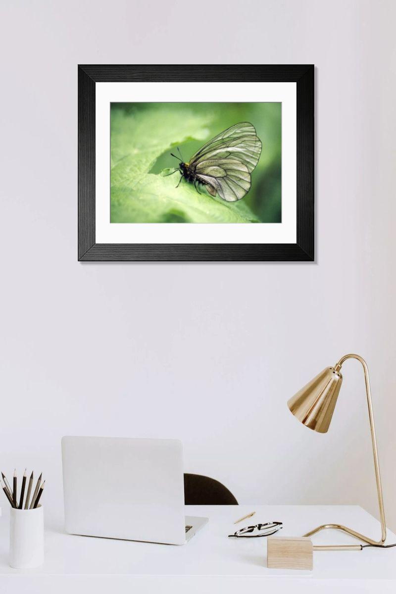 Shown hanging in a room: Modern 14"x12" (36x31cm)
