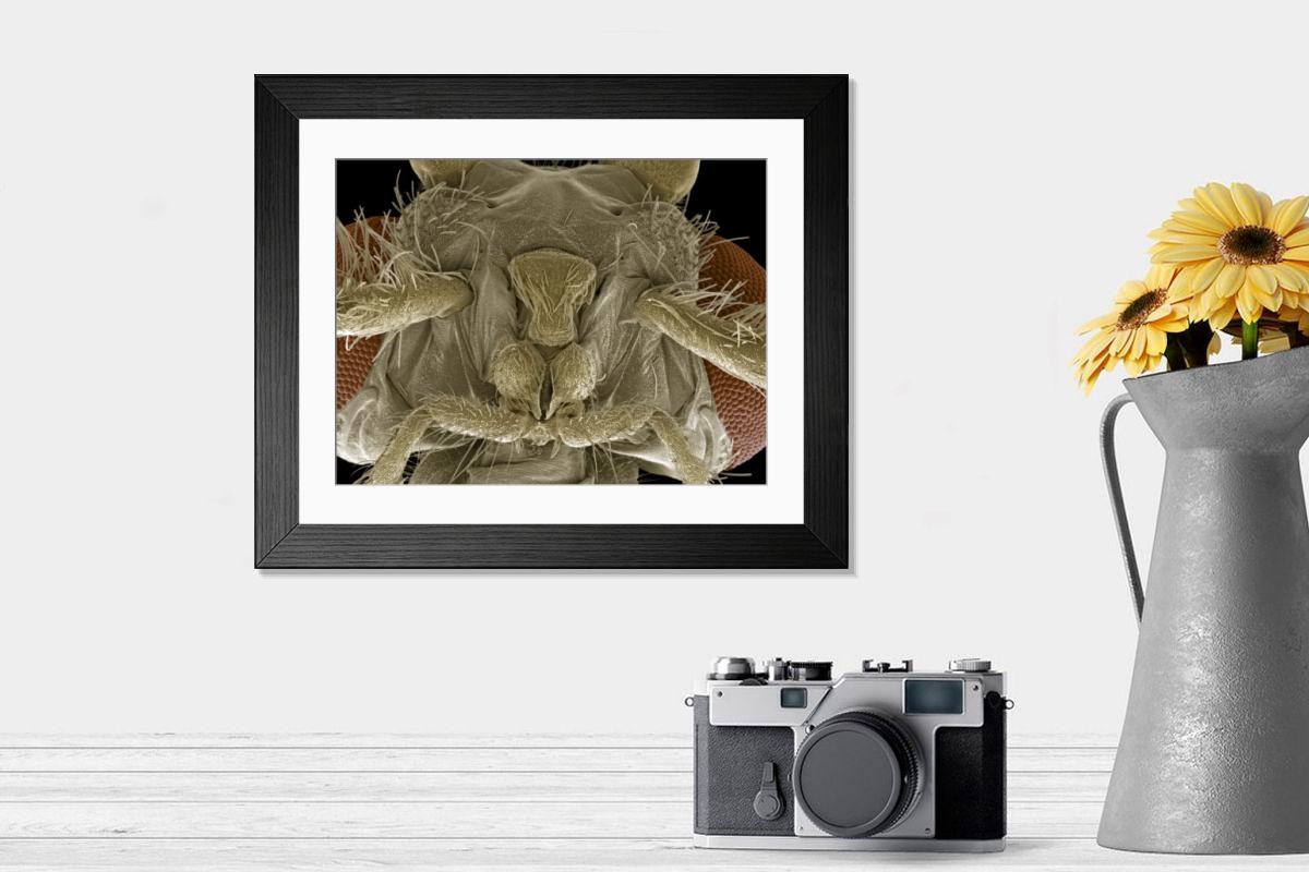 Shown hanging in a room: Modern 14"x12" (36x31cm)