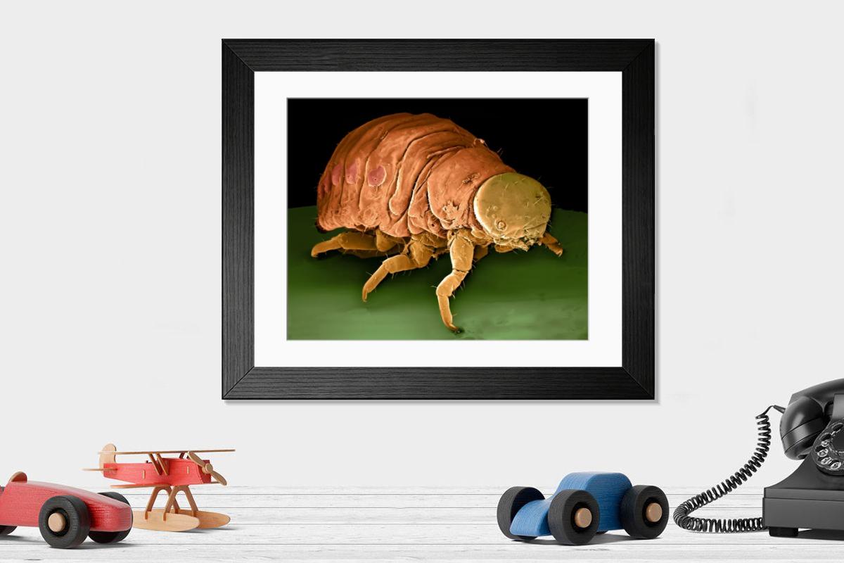 Shown hanging in a room: Modern 14"x12" (36x31cm)
